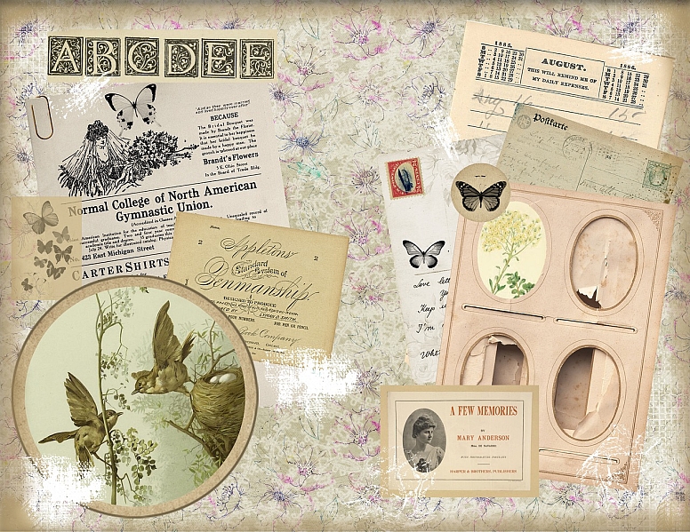 bird theme digital scrapbook