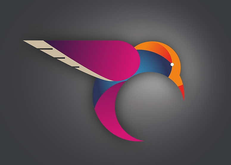 humming bird logo