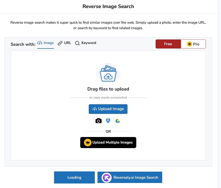 reverse image search